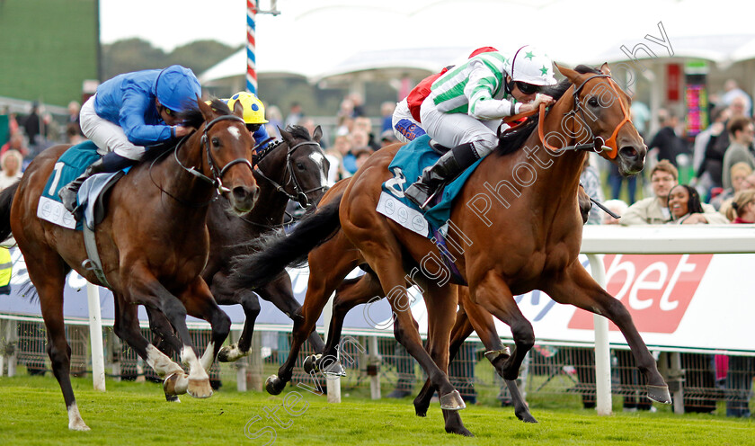 Angel-Hunter-0002 
 ANGEL HUNTER (Ryan Moore) wins The sensory-junction.co.uk Autism Awareness EBF Stallions Nursery
York 22 Aug 2024 - Pic Steven Cargill / Racingfotos.com