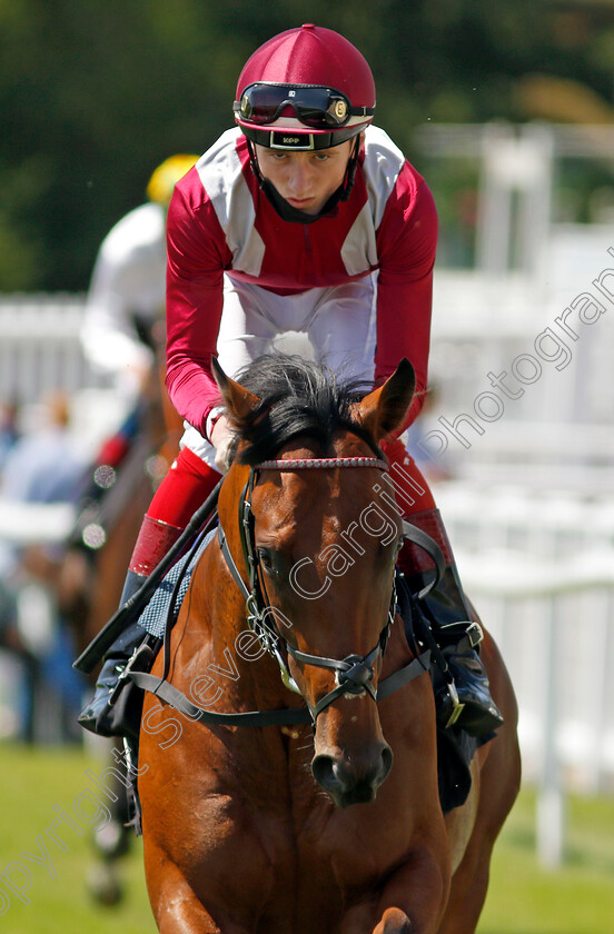 Find-0001 
 FIND (David Egan)
Newbury 16 Jul 2021 - Pic Steven Cargill / Racingfotos.com