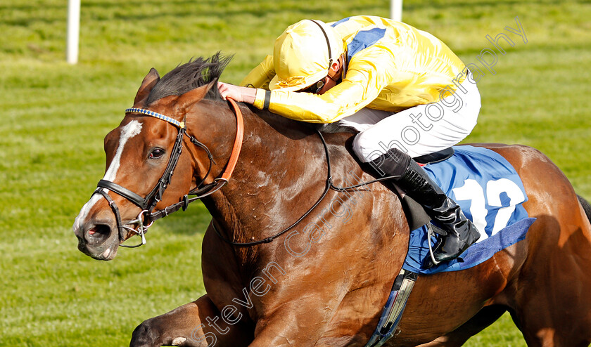 Reverend-Jacobs-0004 
 REVEREND JACOBS (James Doyle) wins The Oaks Farm Stables Handicap York 16 May 2018 - Pic Steven Cargill / Racingfotos.com