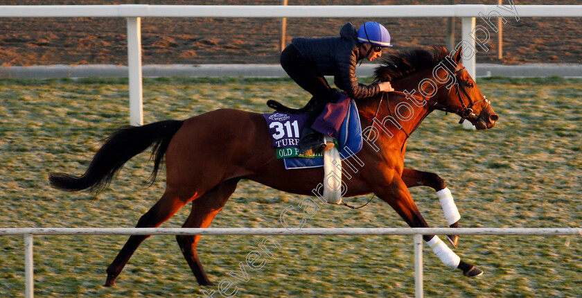 Old-Persian-0001 
 OLD PERSIAN (William Buick) training for The Breeders' Cup Turf
Santa Anita USA 31 Oct 2019 - Pic Steven Cargill / Racingfotos.com