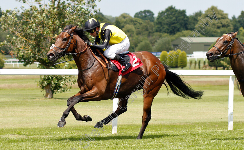 Jumira-Bridge-0003 
 JUMIRA BRIDGE (Kerrin McEvoy) wins The Sandown Park Supports Racing Staff Week Handicap
Sandown 5 Jul 2019 - Pic Steven Cargill / Racingfotos.com