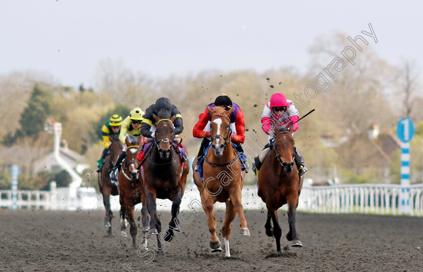 Slipofthepen-0002 
 SLIPOFTHEPEN (James Doyle) wins The Join Racing TV Now Conditions Stakes
Kempton 10 Apr 2023 - Pic Steven Cargill / Racingfotos.com