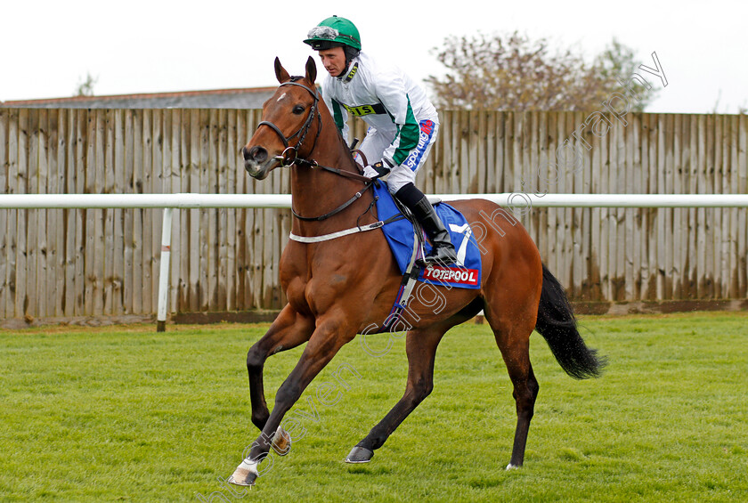 Kimberella-0001 
 KIMBERELLA (Paul Hanagan) Leicester 28 Apr 2018 - Pic Steven Cargill / Racingfotos.com