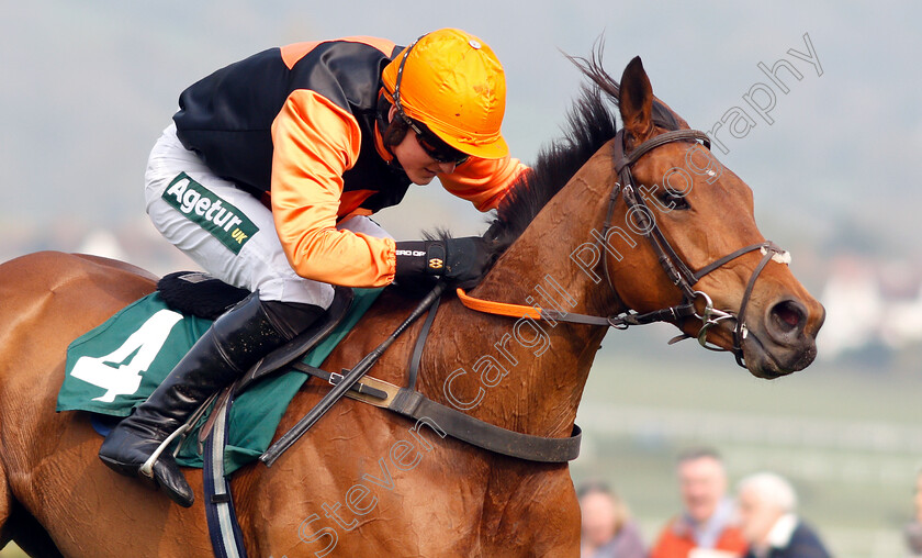 Tobefair-0006 
 TOBEFAIR (Tom Bellamy) wins The Safran Landing Systems Handicap Hurdle
Cheltenham 17 Apr 2019 - Pic Steven Cargill / Racingfotos.com