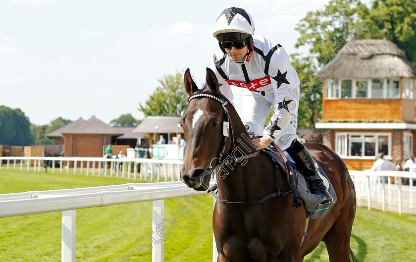 Heroic-Angel-0001 
 HEROIC ANGEL (Jason Hart)
York 16 Jun 2023 - Pic Steven Cargill / Racingfotos.com