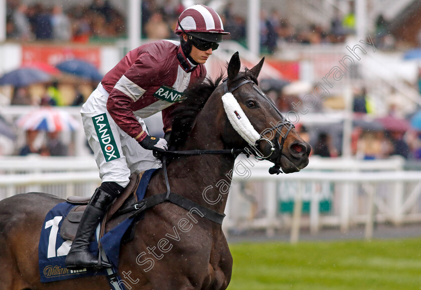 West-To-The-Bridge-0001 
 WEST TO THE BRIDGE (Tristan Durrell)
Aintree 14 Apr 2023 - Pic Steven Cargill / Racingfotos.com