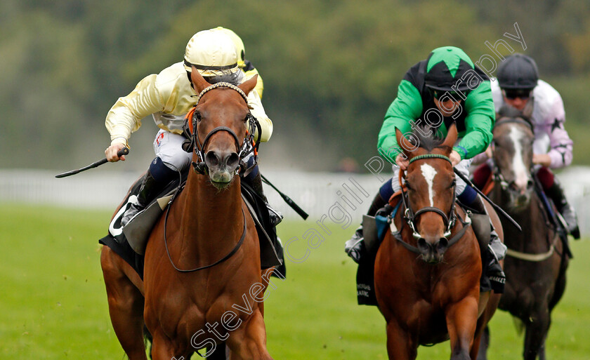 Romantic-Time-0006 
 ROMANTIC TIME (left, Hollie Doyle) wins The IRE Incentive Scheme Dick Poole Fillies Stakes
Salisbury 2 Sep 2021 - Pic Steven Cargill / Racingfotos.com