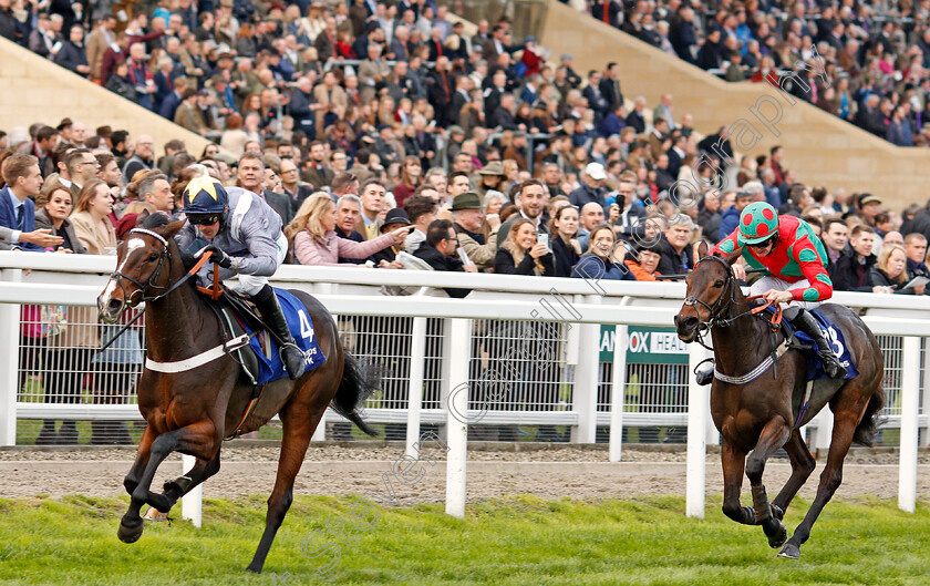 Thomas-Campbell-0001 
 THOMAS CAMPBELL (Nico de Boinville) beats MILROW (right) in The Pertemps Network Handicap Hurdle Cheltenham 28 Oct 2017 - Pic Steven Cargill / Racingfotos.com