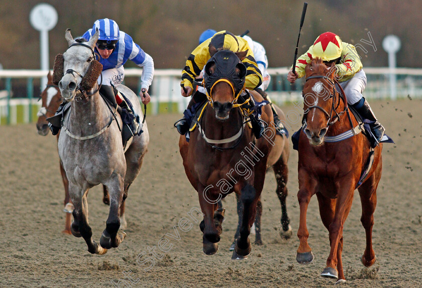 Double-Legend-0004 
 DOUBLE LEGEND (centre, Rhiain Ingram) beats LIBBRETTA (right) and ARABESCATO (left) in The Play 4 To Score At Betway Handicap
Lingfield 29 Jan 2021 - Pic Steven Cargill / Racingfotos.com