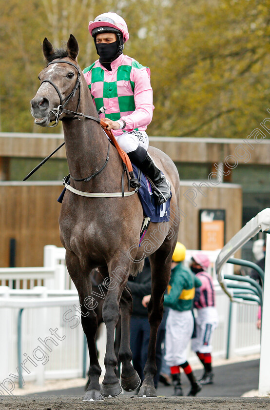 Technique-0001 
 TECHNIQUE (Sean Levey)
Lingfield 8 May 2021 - Pic Steven Cargill / Racingfotos.com