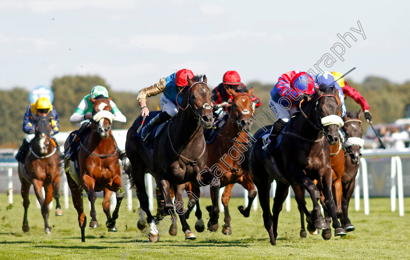 Aesterius-0005 
 AESTERIUS (left, James Doyle) beats BIG MOJO (right) in The Carlsberg Danish Pilsner Flying Childers Stakes
Doncaster 13 Sep 2024 - Pic Steven Cargill / Racingfotos.com