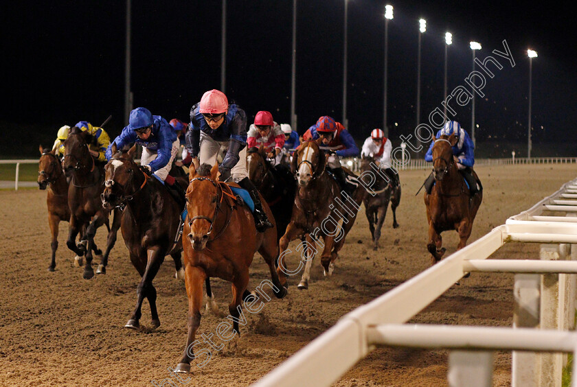 You re-Hired-0002 
 YOU'RE HIRED (Callum Shepherd) wins The tote.co.uk Now Never Beaten By SP Handicap
Chelmsford 14 Oct 2021 - Pic Steven Cargill / Racingfotos.com