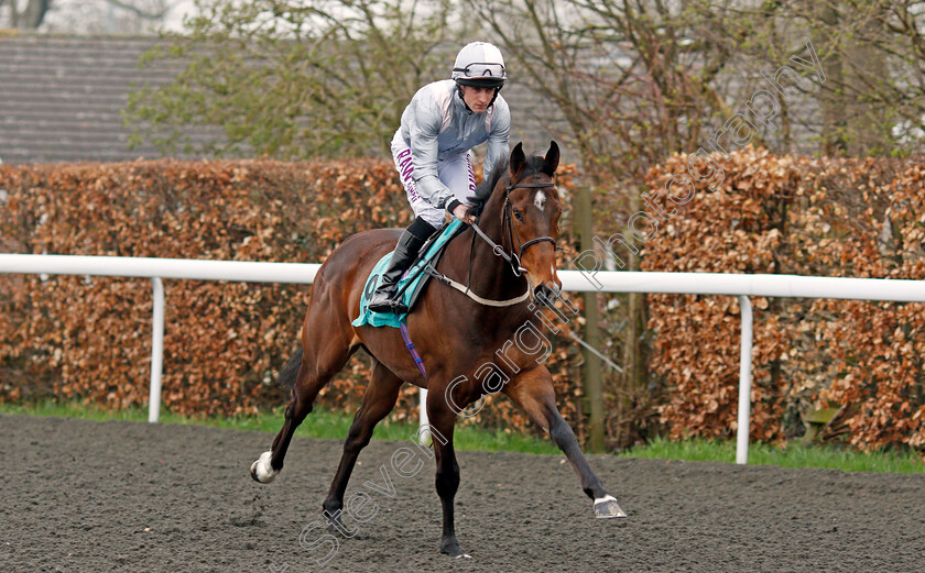 Sod s-Law-0002 
 SOD'S LAW (Charlie Bennett) Kempton 11 Apr 2018 - Pic Steven Cargill / Racingfotos.com