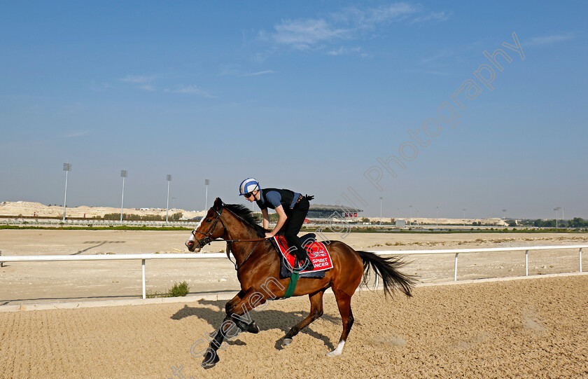 Spirit-Dancer-0002 
 SPIRIT DANCER training for the Bahrain International Trophy
Kingdom of Bahrain 14 Nov 2024 - Pic Steven Cargill / Racingfotos.com