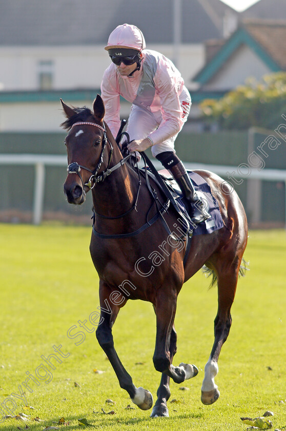 A-Cappella-0002 
 A CAPPELLA (Robert Havlin)
Yarmouth 19 Oct 2021 - Pic Steven Cargill / Racingfotos.com