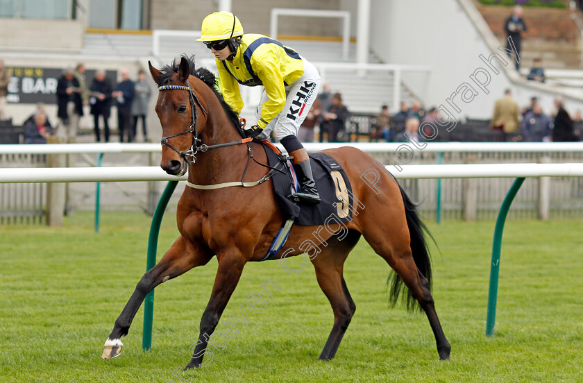 Hodler-0001 
 HODLER (Saffie Osborne)
Newmarket 18 Apr 2023 - Pic Steven Cargill / Racingfotos.com