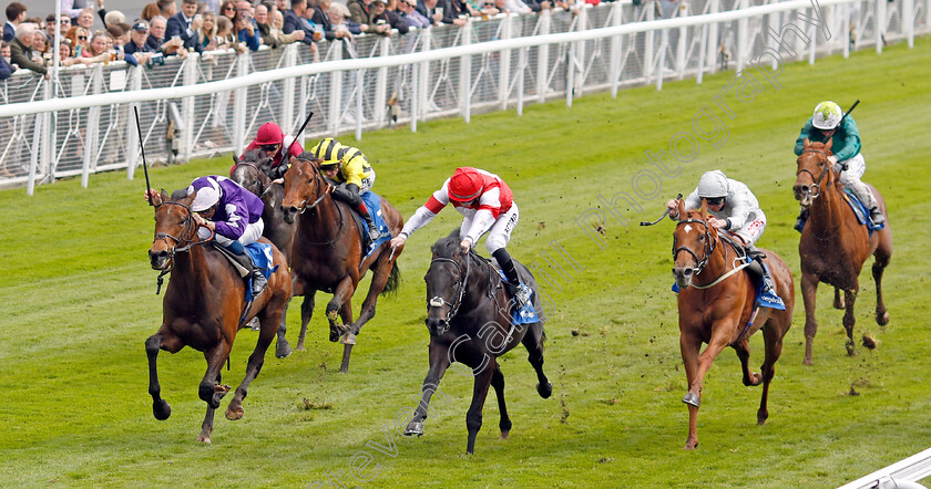 Surely-Not-0003 
 SURELY NOT (left, William Buick) beats SELF ACLAIM (centre) in the Deepbridge Capital Handicap
Chester 11 May 2023 - Pic Steven Cargill / Racingfotos.com