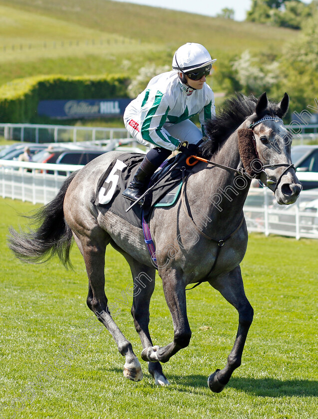 Heavenly-Breath-0002 
 HEAVENLY BREATH (Hollie Doyle)
Goodwood 26 May 2023 - Pic Steven Cargill / Racingfotos.com