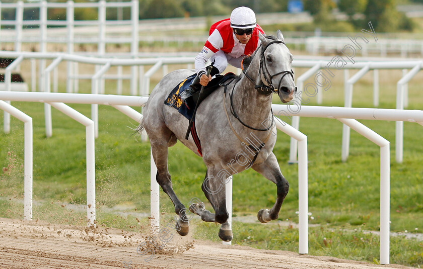 Duca-Di-Como-0003 
 DUCA DI COMO (Elione Chaves) wins The Tattersalls Nickes Minneslopning
Bro Park, Sweden 18 Sep 2022 - Pic Steven Cargill / Racingfotos.com