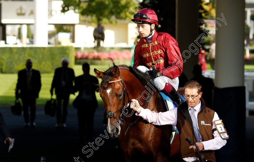 Middle-Earth-0009 
 MIDDLE EARTH (Oisin Murphy) winner of The Troy Asset Management Noel Murless Stakes
Ascot 6 Oct 2023 - Pic Steven Cargill / Racingfotos.com