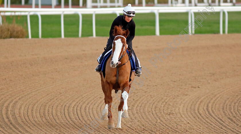 Freescape-0001 
 FREESCAPE training at the Dubai World Cup Carnival
Meydan 5 Jan 2023 - Pic Steven Cargill / Racingfotos.com