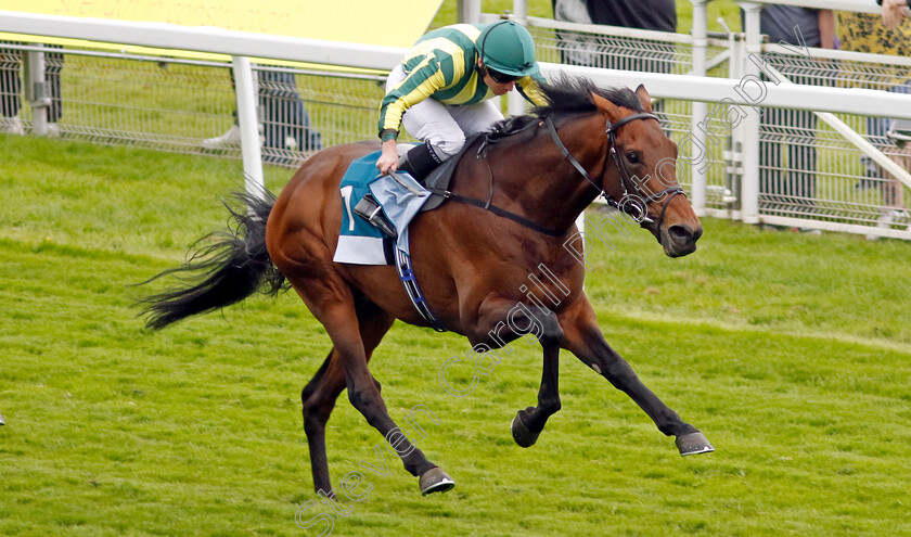 Chesspiece-0003 
 CHESSPIECE (Ryan Moore) wins The Collective Green Energy Handicap
York 18 May 2023 - Pic Steven Cargill / Racingfotos.com