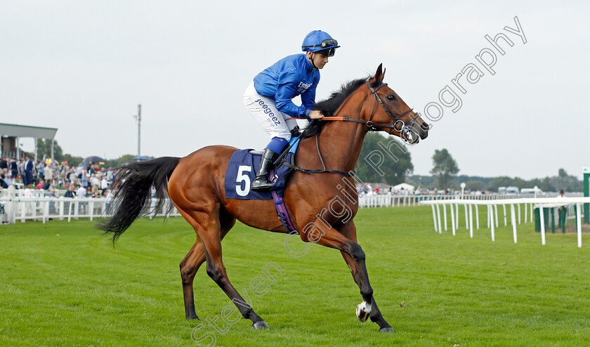 Dubai-Souq-0001 
 DUBAI SOUQ (March Ghiani)
Yarmouth 16 Sep 2021 - Pic Steven Cargill / Racingfotos.com