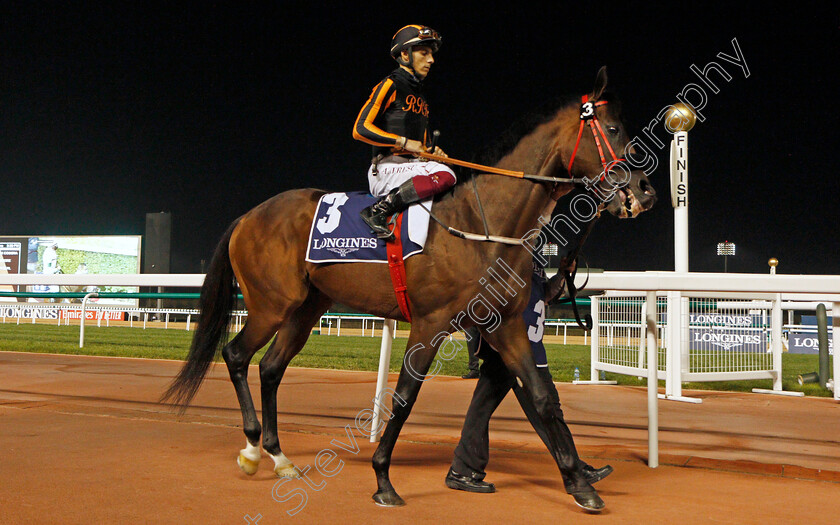 For-The-Top-0001 
 FOR THE TOP (Antonio Fresu)
Meydan 4 Feb 2022 - Pic Steven Cargill / Racingfotos.com