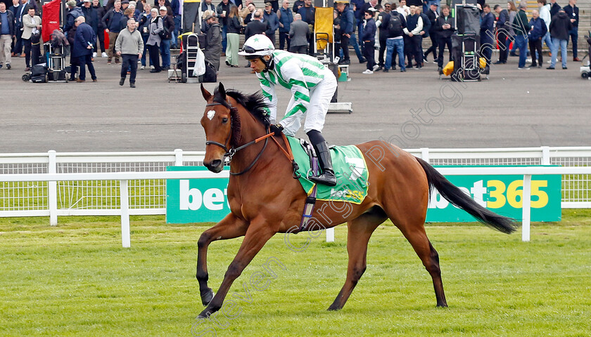 Witch-Hunter-0001 
 WITCH HUNTER (Sean Levey)
Sandown 26 Apr 2024 - Pic Steven Cargill / Racingfotos.com