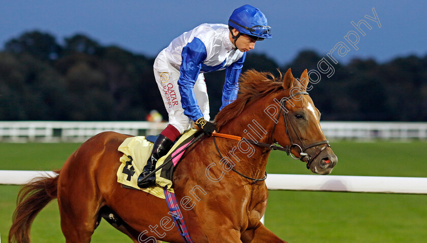 Magico-0006 
 MAGICO (Oisin Murphy) winner of The Unibet Handicap
Kempton 28 Aug 2024 - Pic Steven Cargill / Racingfotos.com