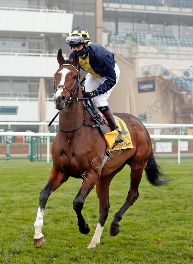 Moonlight-In-Paris-0001 
 MOONLIGHT IN PARIS (Robert Havlin)
Doncaster 7 Nov 2020 - Pic Steven Cargill / Racingfotos.com