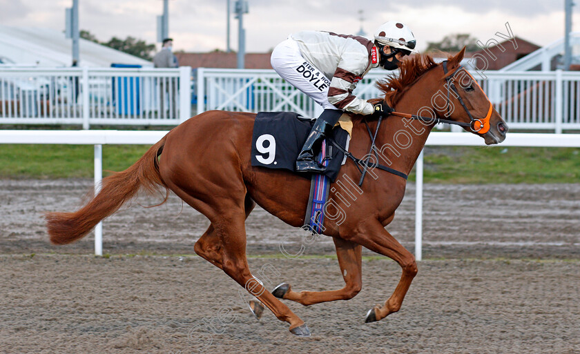 You re-So-Sharp-0001 
 YOU'RE SO SHARP (Sean Levey)
Chlmsford 15 Oct 2020 - Pic Steven Cargill / Racingfotos.com