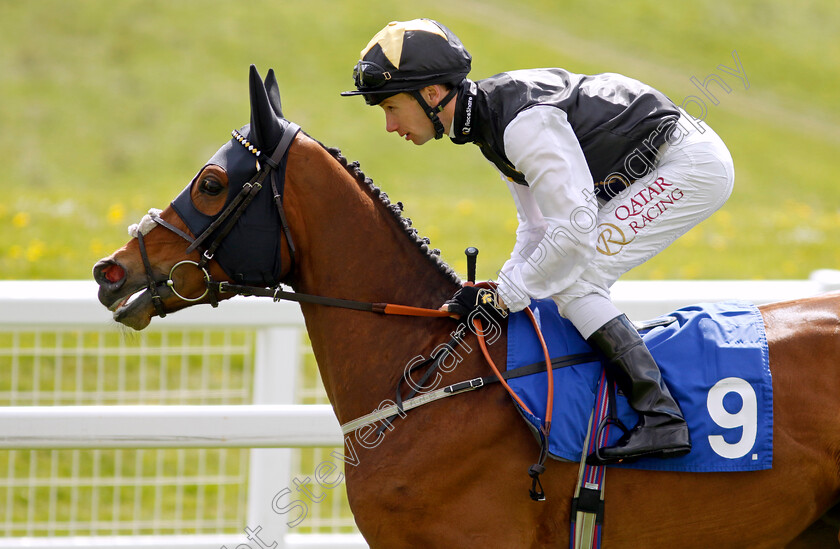 Scampi-0001 
 SCAMPI (Oisin Murphy)
Epsom 25 Apr 2023 - Pic Steven Cargill / Racingfotos.com