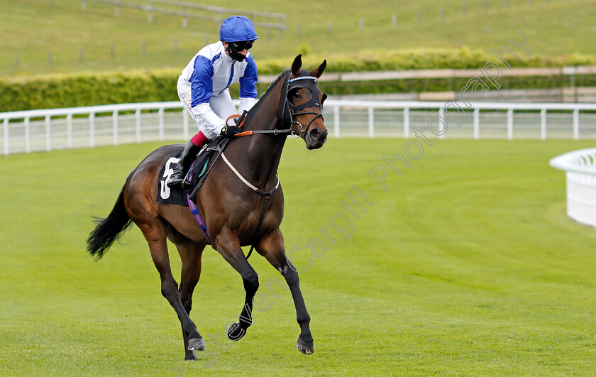 Mystery-Show-0001 
 MYSTERY SHOW (Oisin Murphy)
Goodwood 21 May 2021 - Pic Steven Cargill / Racingfotos.com