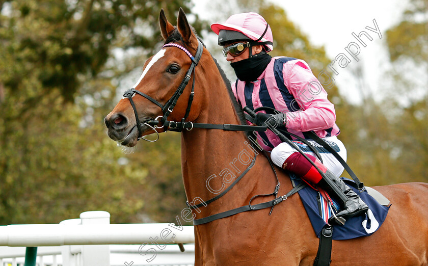 Loving-Dream-0002 
 LOVING DREAM (Frankie Dettori)
Lingfield 8 May 2021 - Pic Steven Cargill / Racingfotos.com