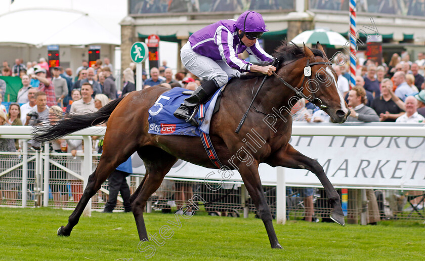 Continuous-0003 
 CONTINUOUS (Ryan Moore) wins The Sjy Bet Great Voltigeur Stakes
York 23 Aug 2023 - Pic Steven Cargill / Racingfotos.com