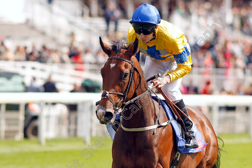 Sun-God-0002 
 SUN GOD (Luke Morris) 
York 24 Aug 2024 - Pic Steven Cargill / Racingfotos.com