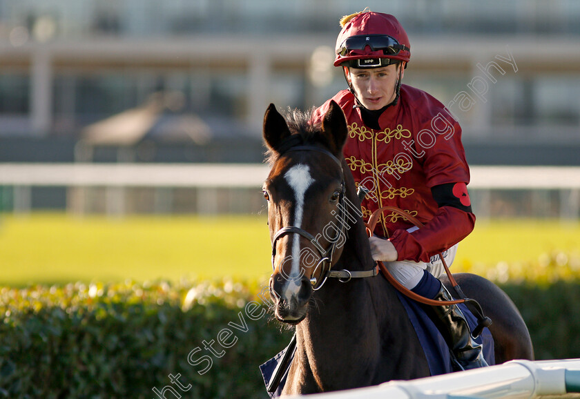 Gilded-Hour-0001 
 GILDED HOUR (Oisin Murphy) Doncaster 11 Nov 2017 - Pic Steven Cargill / Racingfotos.com