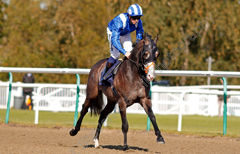 Motabassim-0002 
 MOTABASSIM (Jim Crowley) winner of The Racing Welfare Nursery Lingfield 5 Oct 2017 - Pic Steven Cargill / Racingfotos.com