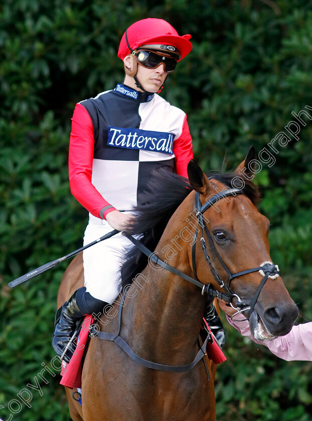 Poker-Face-0001 
 POKER FACE (James Doyle)
Sandown 7 Jul 2023 - Pic Steven Cargill / Racingfotos.com