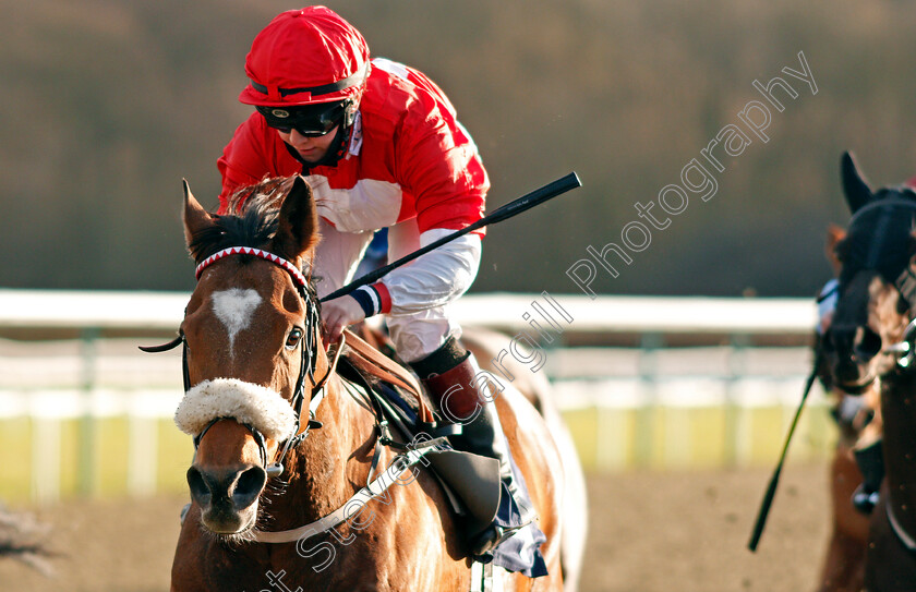 Crimewave-0006 
 CRIMEWAVE (Laura Pearson) wins The Betway Handicap
Lingfield 29 Jan 2021 - Pic Steven Cargill / Racingfotos.com