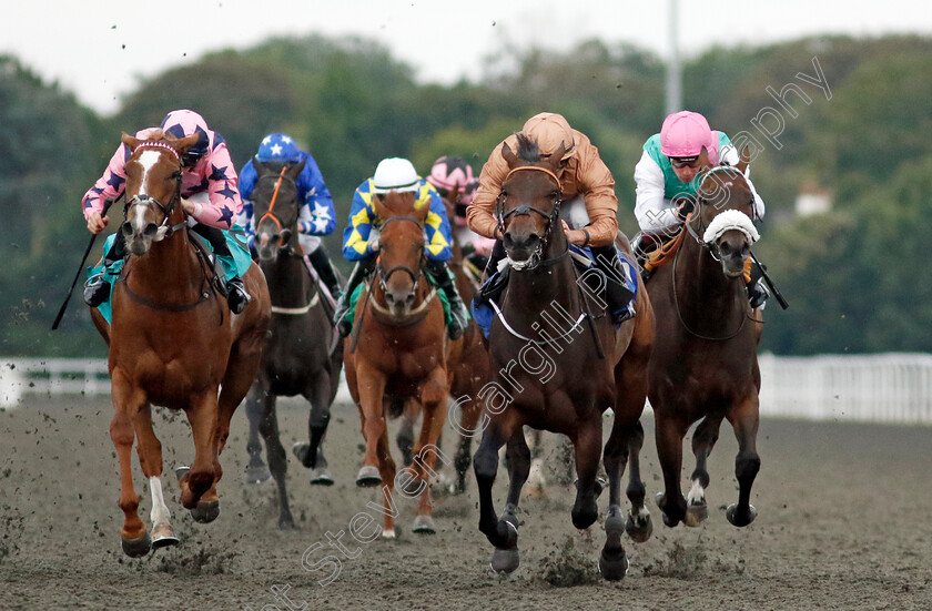 Cognisance-0004 
 COGNISANCE (2nd right, Tom Marquand) beats HELLO MISS LADY (left) and LEADMAN (right) in The Unibet Support Safe Gambling Novice Stakes Div2
Kempton 28 Aug 2024 - Pic Steven Cargill / Racingfotos.com