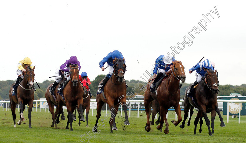 Mustashry-0002 
 MUSTASHRY (right, Jim Crowley) beats DUTCH CONNECTION (2nd right) and D'BAI (centre) in The Alan Wood Plumbing And Heating Park Stakes
Doncaster 15 Sep 2018 - Pic Steven Cargill / Racingfotos.com