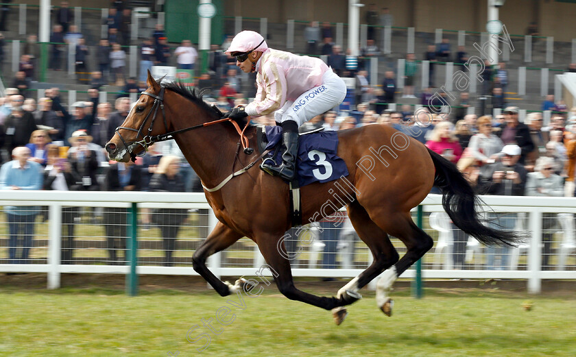 Take-It-Down-Under-0005 
 TAKE IT DOWN UNDER (Silvestre De Sousa) wins The Haven Seashore Holiday Handicap
Yarmouth 23 Apr 2019 - Pic Steven Cargill / Racingfotos.com