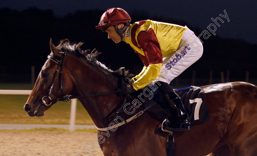 Rua-Augusta-0001 
 RUA AUGUSTA (Tom Eaves) Chelmsford 12 Oct 2017 - Pic Steven Cargill / Racingfotos.com