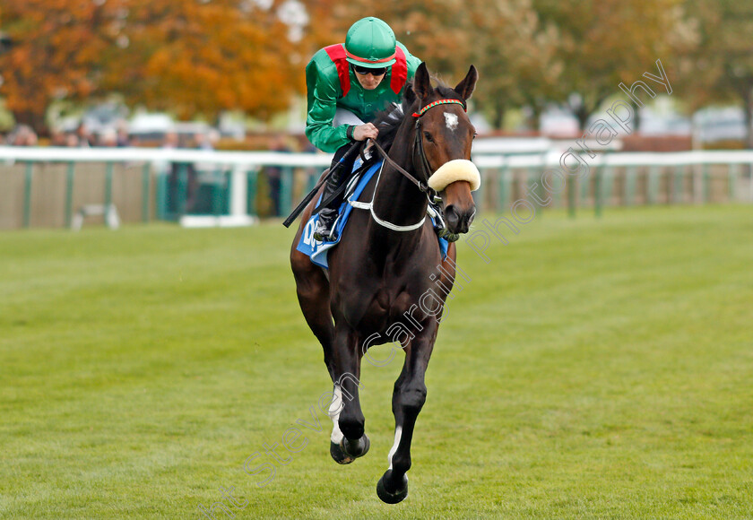 Rehana-0001 
 REHANA (Colm O'Donoghue) Newmarket 13 Oct 2017 - Pic Steven Cargill / Racingfotos.com