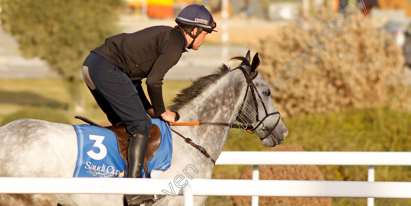 Garrus-0001 
 GARRUS training for The 1351 Turf Sprint
King Abdulaziz Racecourse, Kingdom Of Saudi Arabia, 23 Feb 2023 - Pic Steven Cargill / Racingfotos.com