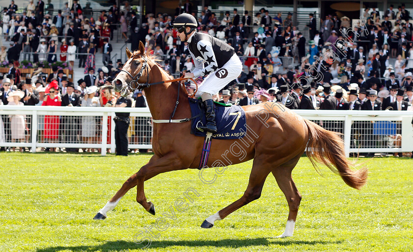 Rumble-Inthejungle-0001 
 RUMBLE INTHEJUNGLE (Tom Queally)
Royal Ascot 21 Jun 2018 - Pic Steven Cargill / Racingfotos.com