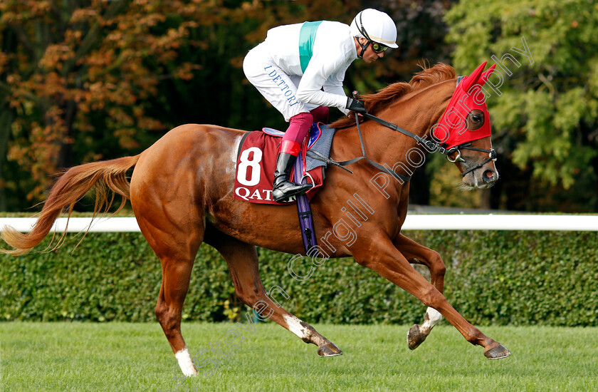 Natasha 
 NATASHA (Frankie Dettori) in red hood
Longchamp 3 Oct 2021 - Pic Steven Cargill / Racingfotos.com