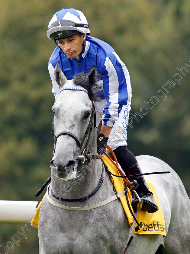 Art-Power-0003 
 ART POWER (Silvestre De Sousa)
Haydock 4 Sep 2021 - Pic Steven Cargill / Racingfotos.com